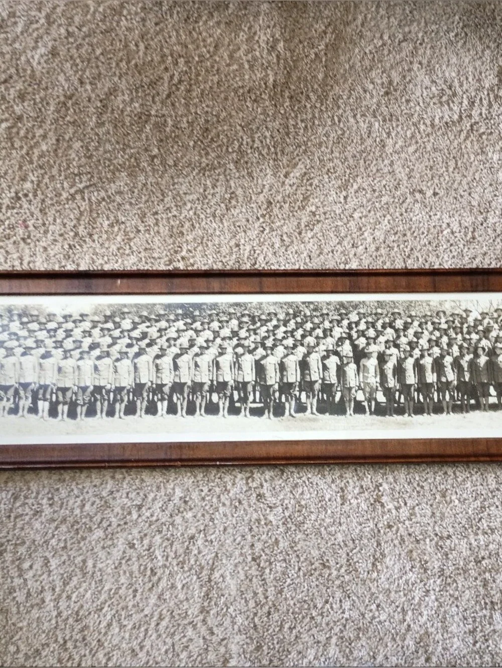 WW1-1918 Camp Grant 4' X 1' Photograph In Original Frame